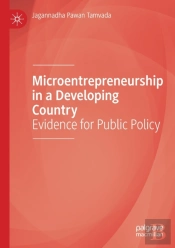 Microentrepreneurship In A Developing Country