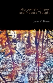 Microgenetic Theory And Process Thought