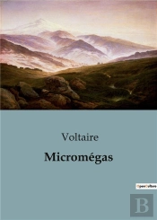 Micromegas