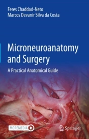 Microneuroanatomy And Surgery