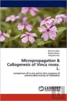 Micropropagation & Callogenesis Of Vinca Rosea. L.