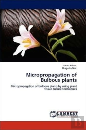 Micropropagation Of Bulbous Plants