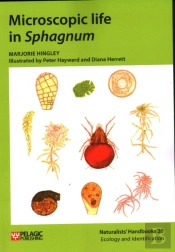 Microscopic Life In Sphagnum