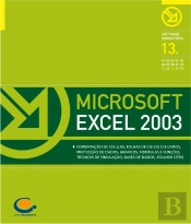 Microsoft Excel 2003