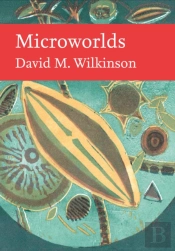 Microworlds