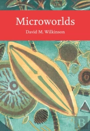 Microworlds