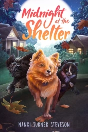 Midnight At The Shelter
