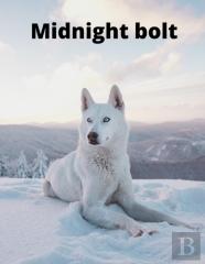 Midnight Bolt