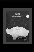 Midnight On Owl Mountain