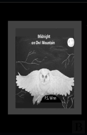 Midnight On Owl Mountain
