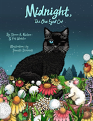 Midnight, The One-Eyed Cat