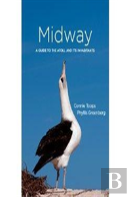 Midway