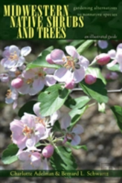 Midwestern Native Shrubs And Trees