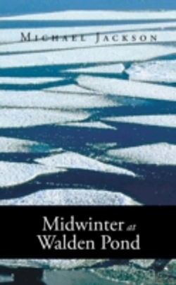 Bertrand.pt - Midwinter at Walden Pond