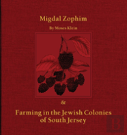 Migdal Zophim