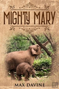 Bertrand.pt - Mighty Mary