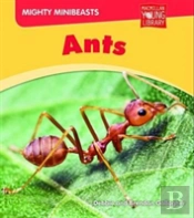 Mighty Minibeasts: Ants