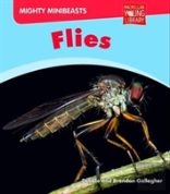 Mighty Minibeasts: Flies