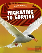 Migrating To Survive