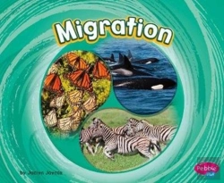 Bertrand.pt - Migration