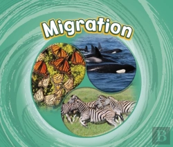 Bertrand.pt - Migration