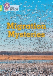Migration Mysteries