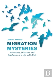 Migration Mysteries