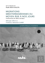 Migrations Méditerranéennes Du Moyen Âge À Nos Jours ; Institutions Et Liens Sociaux