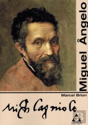 Miguel Ângelo