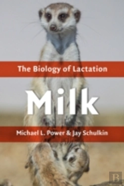 Bertrand.pt - Milk