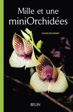 Bertrand.pt - Mille Et Une Mini Orchidées