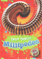 Millipedes
