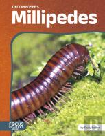 Millipedes