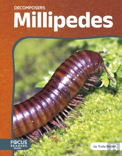 Bertrand.pt - Millipedes