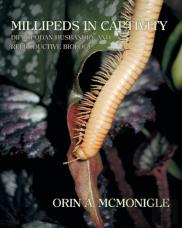 Millipeds In Captivity