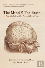 Mind And The Brain