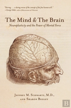 Bertrand.pt - Mind And The Brain