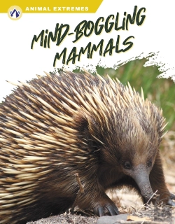 Bertrand.pt - Mind-Boggling Mammals