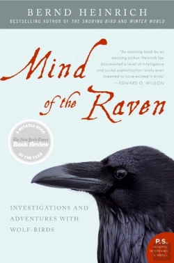 Bertrand.pt - Mind Of The Raven