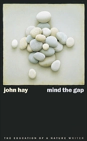 Mind The Gap