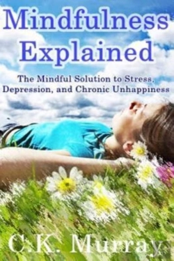 Bertrand.pt - Mindfulness Explained