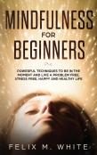 Mindfulness For Beginners
