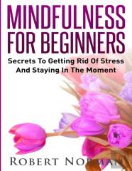 Mindfulness For Beginners