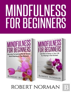 Bertrand.pt - Mindfulness For Beginners