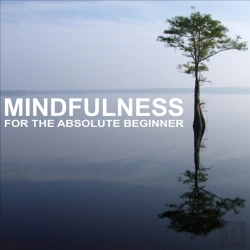 Bertrand.pt - Mindfulness For The Absolute Beginner