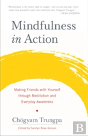 Mindfulness In Action