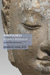 Mindfulness In Early Buddhism