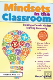Mindsets In The Classroom
