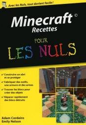 Minecraft Recettes Pour Les Nuls