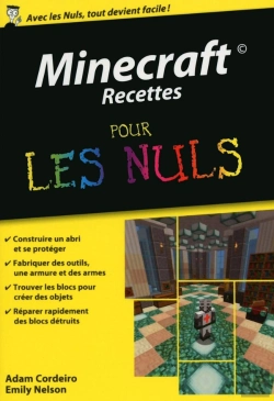 Bertrand.pt - Minecraft Recettes Pour Les Nuls
